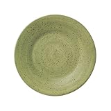 Pfaltzgraff Nuance Sage Open Stock 9 Salad Plate