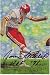 Jan Stenerud Autographed/Hand Signed Goal Line Art Card with HOF 91 Inscription (Black)