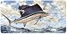 Airborne - Sailfish - Art Print - License Plate Tag By Don Ray From Airstrike