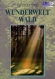 Wunderwelt Wald