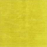 Twin SIS Covers Futon Cover in Posh Apple Green