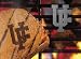 Florida Gators Branding Iron