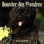 Bouvier Des Flandres 2004 Calendar (French Edition)