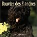 Bouvier Des Flandres 2004 Calendar (French Edition)
