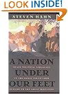 A Nation under Our Feet: Black Political Struggles in the Rural South from Slavery to the Great Migration