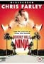 Beverly Hills Ninja