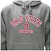 Ohio State University Campus Yard Printed Fleece Hoodie
