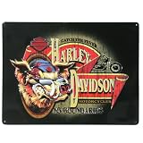 H-D No Boundaries Hog Tin Sign