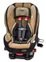 Evenflo Triumph Advance DLX Convertible Car Seat, Reese