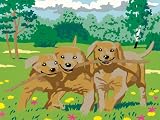 Eigenschaften Ravensburger 28844 / Ravensburger 28844 - Malen nach Zahlen, Treue Freunde, 30x24 cm