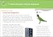 T1 Rex's Business Telecom Explainer