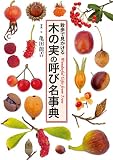 散歩で見かける 木の実の呼び名事典