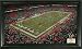 Houston Texans Signature Gridiron