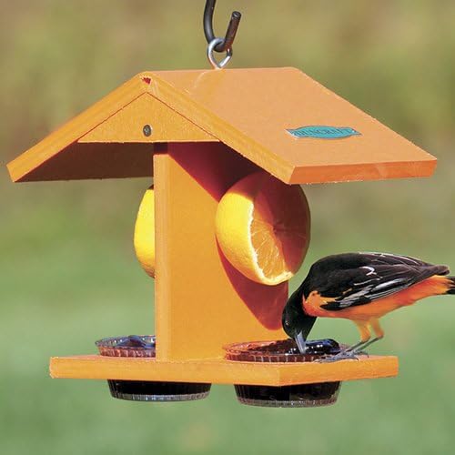 Duncraft Eco-Oriole Fruit & Jelly Bird Feeder