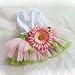 PanDaDa Dog Daisy Gauze Tutu Dress Skirt Pet Dog Cat Princess Clothes Bowknot Dress L