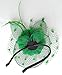 Coolwife Womens Fascinator Veil Flower Cocktail Tea Party Headwear (Green)