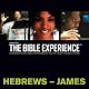Hebrews to James: The Bible Experience