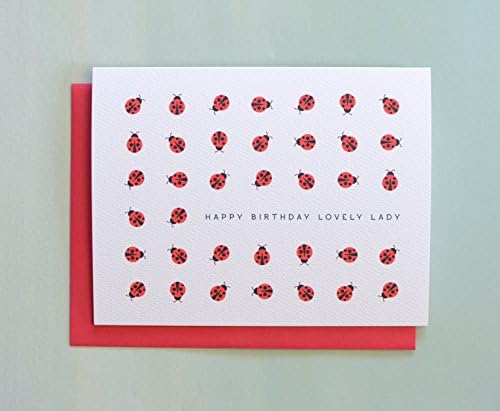 Lovely Ladybug Birthday Card