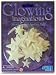 Glow-In-The-Dark Sparkling Glitter Stars Set of 22 Glowing Stars by Glowing Imaginations