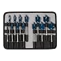 Bosch DSB5013P DareDevil 13-Piece Spade Bit Set/Pouch