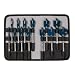 Bosch DSB5013P DareDevil 13-Piece Spade Bit Set/Pouch