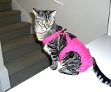 Joybies Hot Pink Piddle Pants(TM) for XX Small Cat (Measuring 9-11 From Collar to Base of Tail)