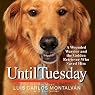 Until Tuesday