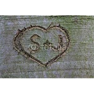 Wallmonkeys Peel and Stick Wall Decals - Heart - Removable Graphic