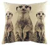 Evans Lichfield Meerkats Cushion, 18 x 18 inch