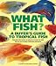 Top Quality Buyers Guide To Tropical Fish
