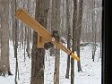 Bird ins Choice Squirrel Arrow Feeder