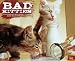 Amazon price tracker, Amazon price history charts, Bad Kitties 2012 Calendar