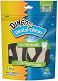 Dingo Denta-Treats Long Lasting Chews, Regular, 4-Count (P-34305)