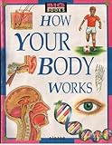 How your body works