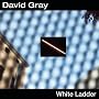 White Ladder
