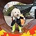 iiniim Pet Dog Cat Carrying Pumpkin Halloween Costume Fancy Party Jacket Apparel (M)