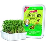 Cat-A'bout Multi-Cat CatGrass Plus Tub 150 grams by MiracleCorp/Gimborn
