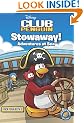 Stowaway! Adventures at Sea (Disney Club Penguin Pick Your Path (Quality))