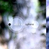 Microsphere