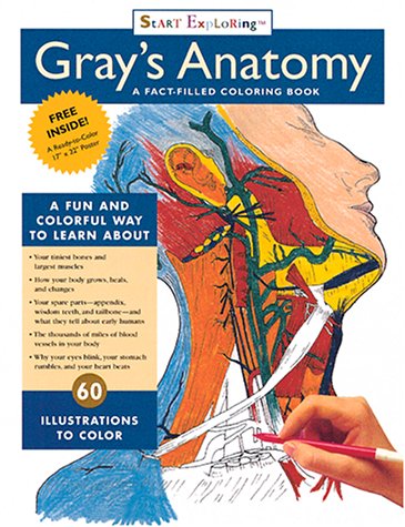 Childrens Toyshop  Children & Baby Books : Start Exploring "Gray's Anatomy": A Fact-filled Colouring Book (Start Exploring (Coloring Books))