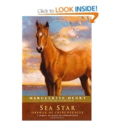 Sea Star: Orphan of Chincoteague