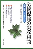 労働保険の実務相談〈平成17年度〉