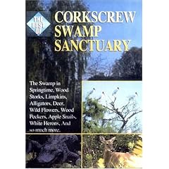 POSTCARD AUDUBON SOCIETY CORKSCREW SWAMP NAPLES FLORIDA