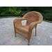 Oakland Living Resin Wicker Arm Chair