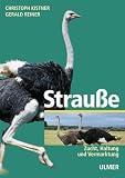 Produkt-Bild: Strau&szlig;e: Zucht - Haltung - Vermarktung