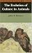 Book The Evolution of Culture in Animals