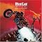 Bat Out of Hell