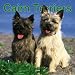 Cairn Terriers 2006 Calendar