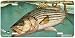 Striper - Large Mouth Bass Art Print - License Plate Tag By Don Ray From Airstrike