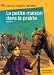 Un enfant de la terre (La petite maison dans la prairie, #3)